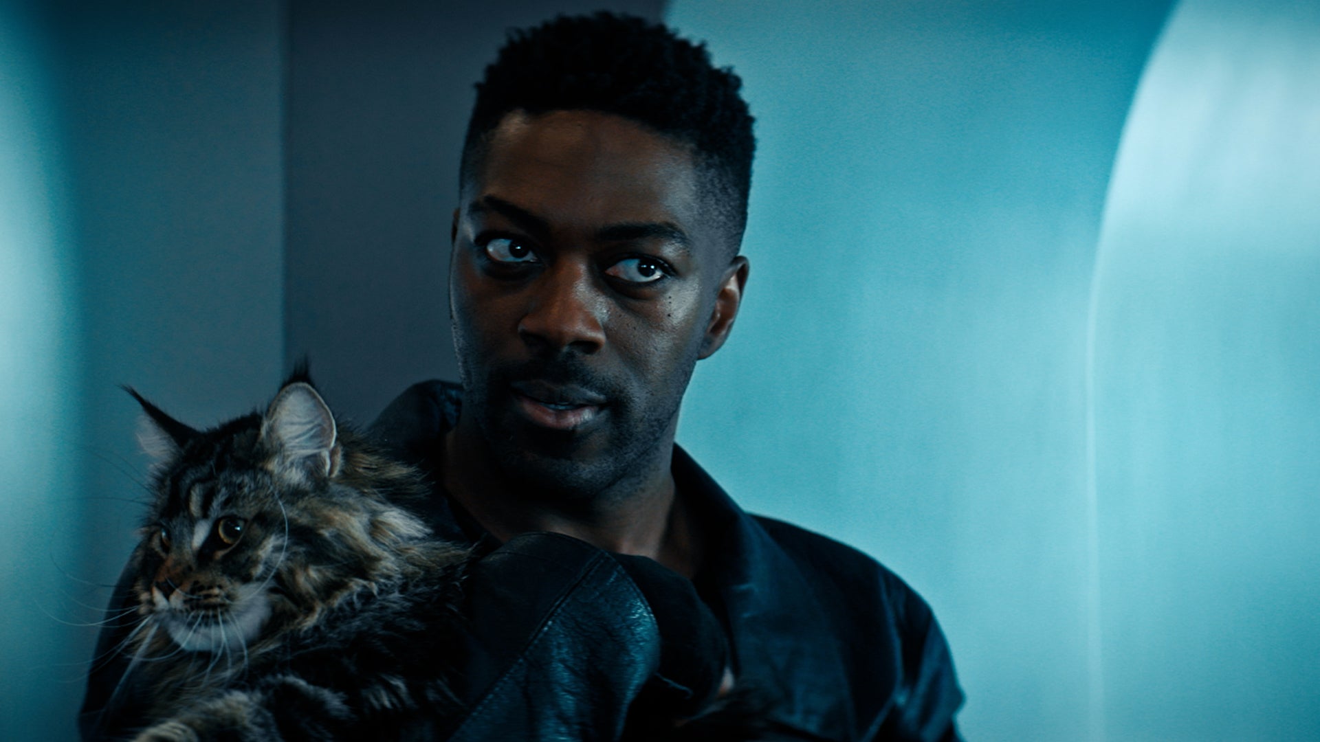 Star Trek: Discovery — Grudge