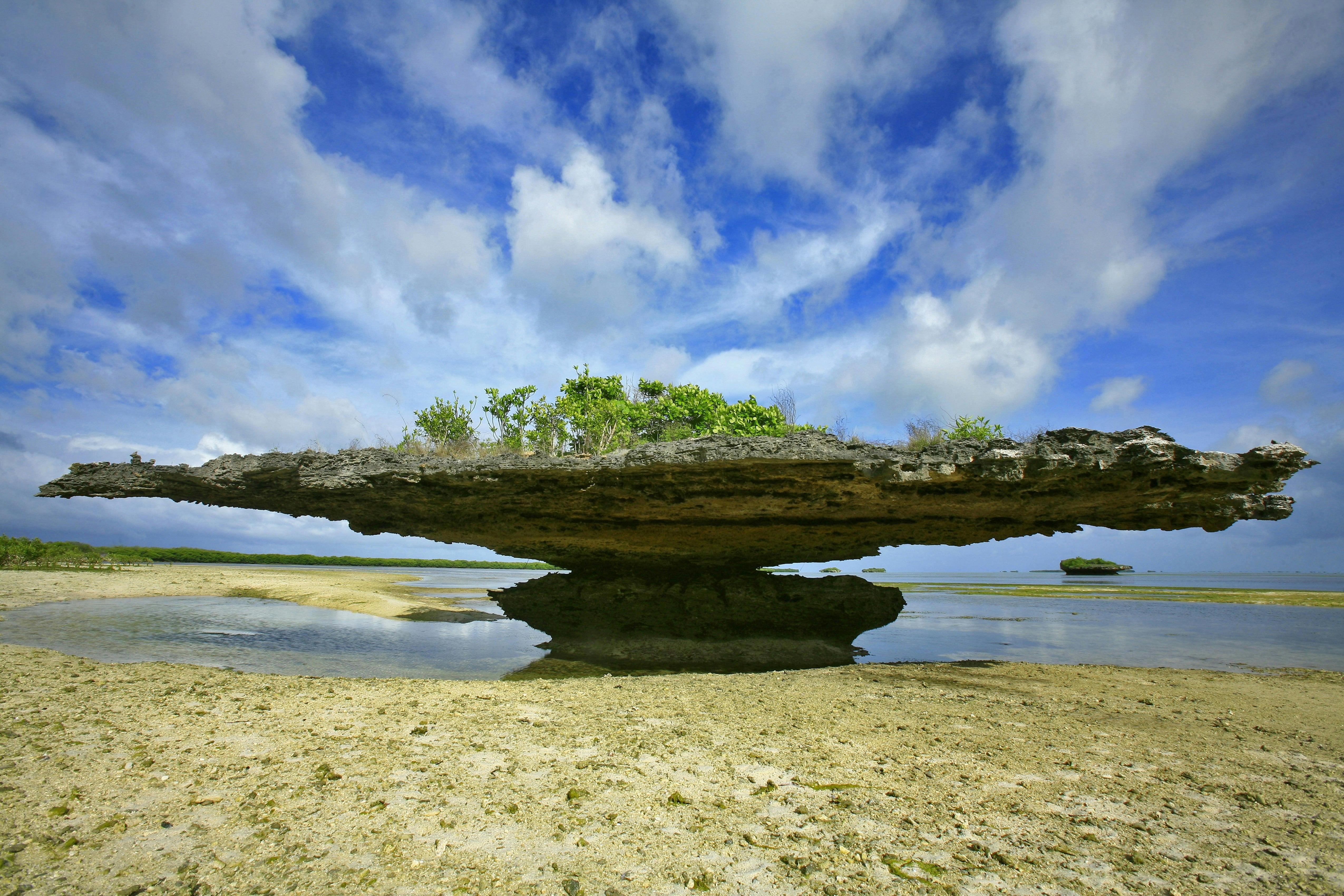 Coral rock formations exposed at low tide, Aldabra Island, Seychelles. 
