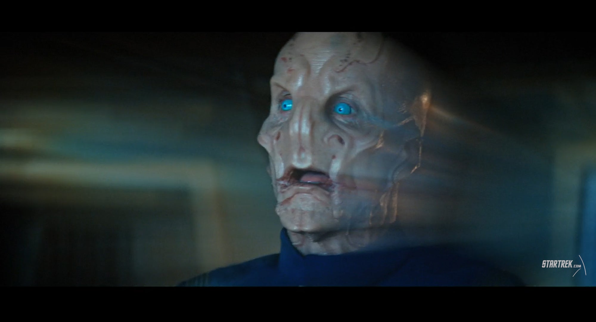 Star Trek: Discovery - "Such Sweet Sorrow, Part 2"