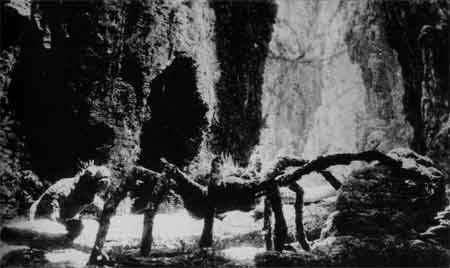 Photo still from King Kong (1933), printed in Famous Monsters of Filmland #108 (1974)