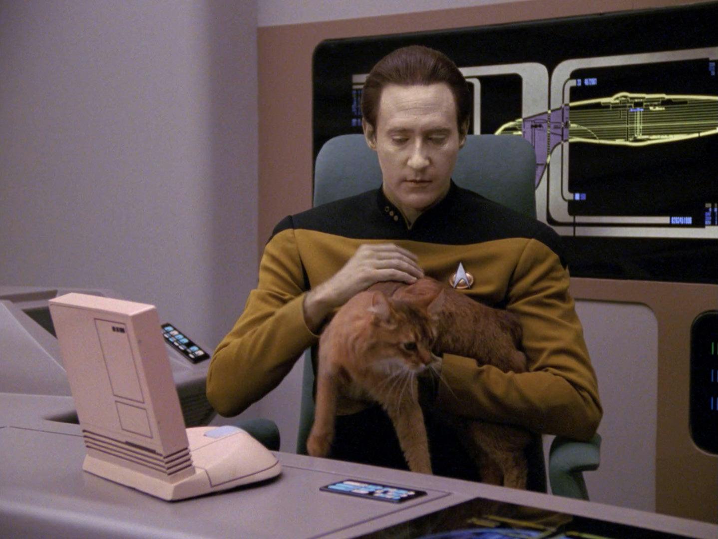 Data pets Spot while sitting at his desk in his quarters as seen in 'Data's Day'