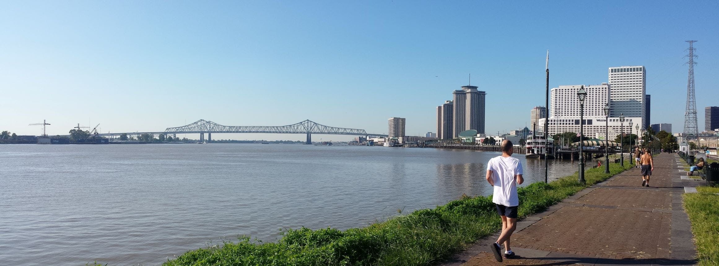 The New Orleans skyline seen from Crescent Park