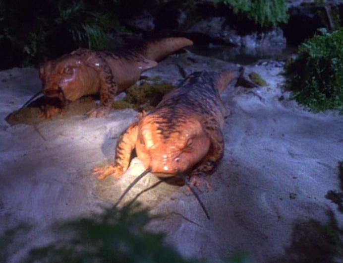 Star Trek: Voyager - 