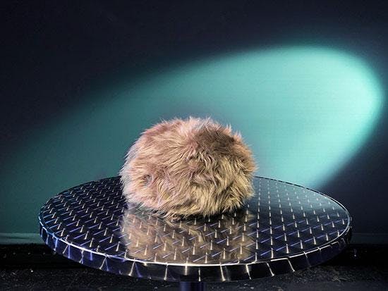 Interactive Tribble