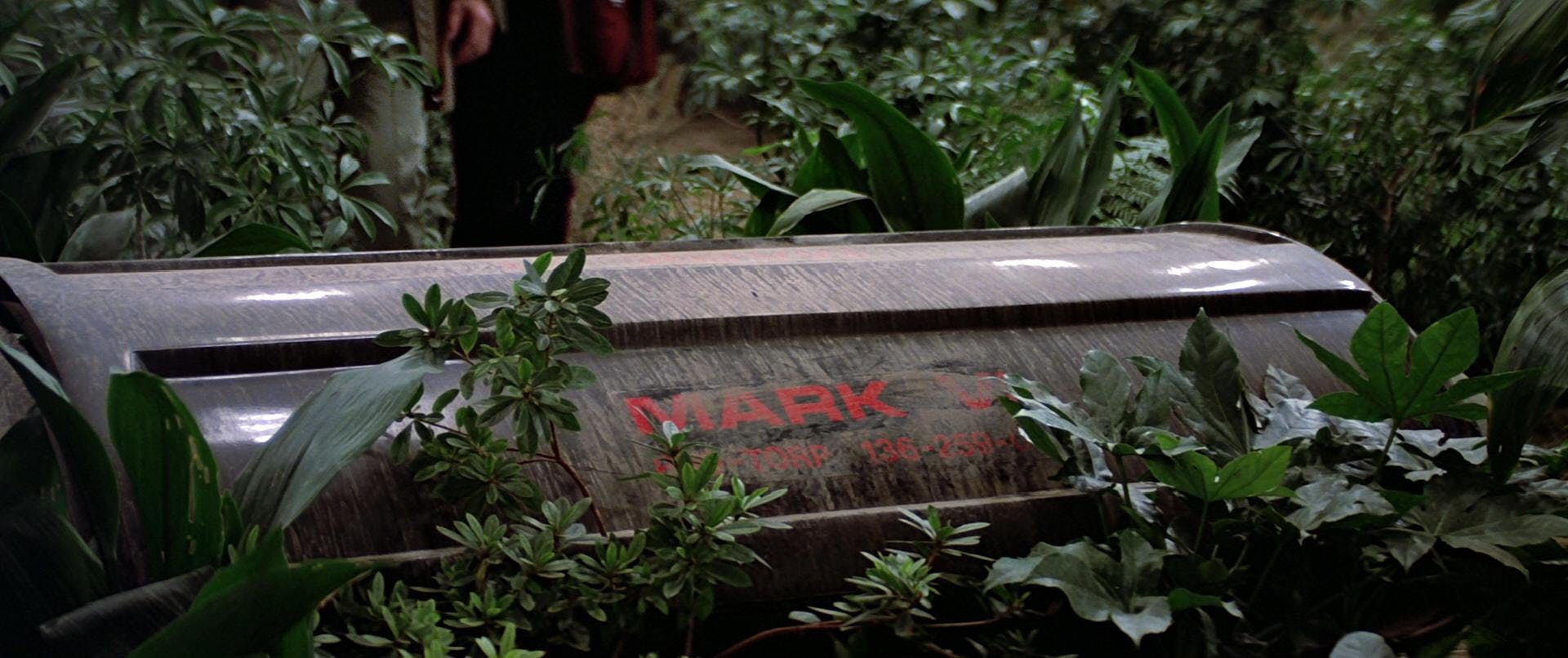 Spock's coffin on Genesis Planet