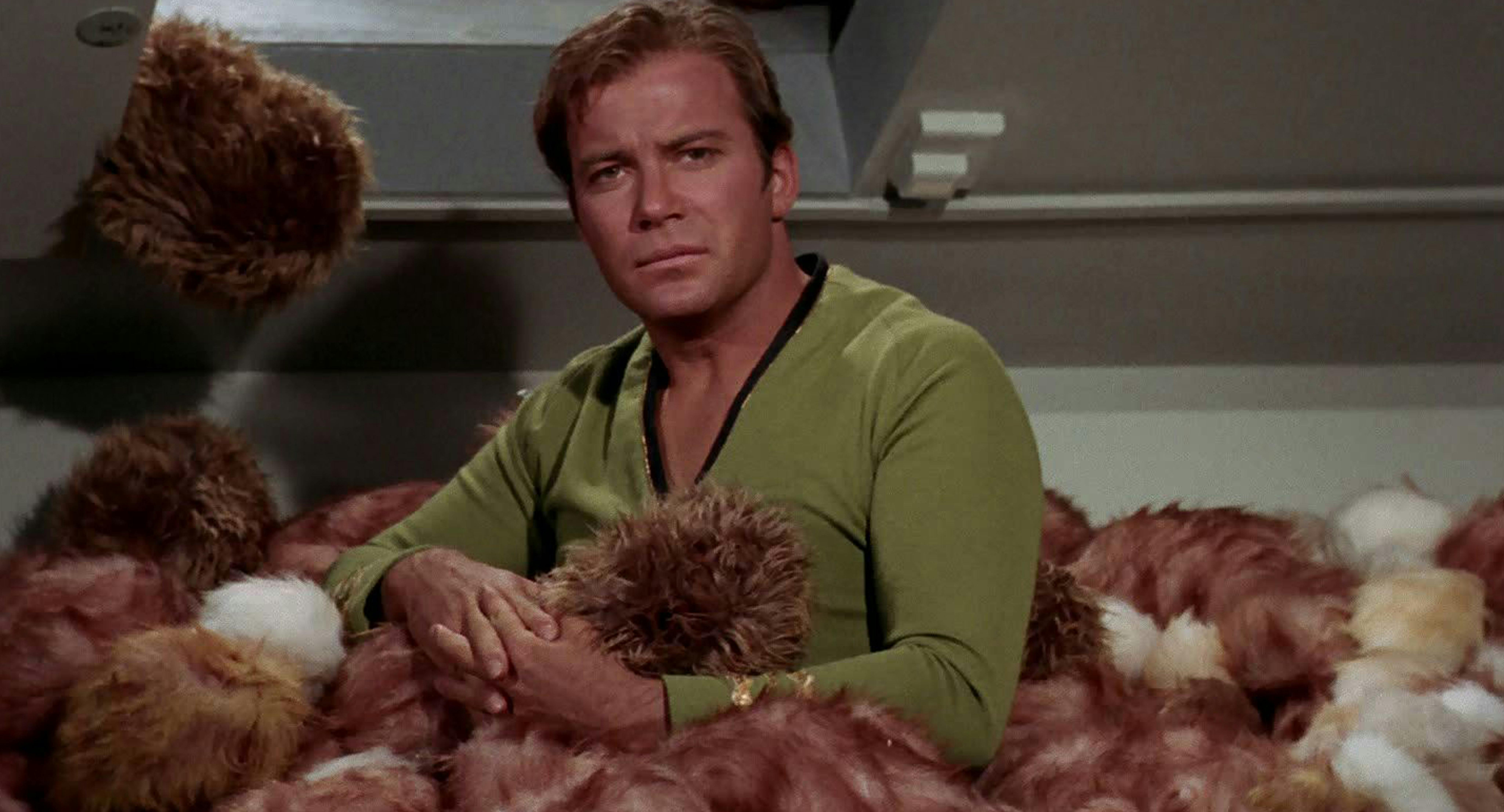 Captain Kirk (TOS) is in a pile of tribbles. He looks unhappy.