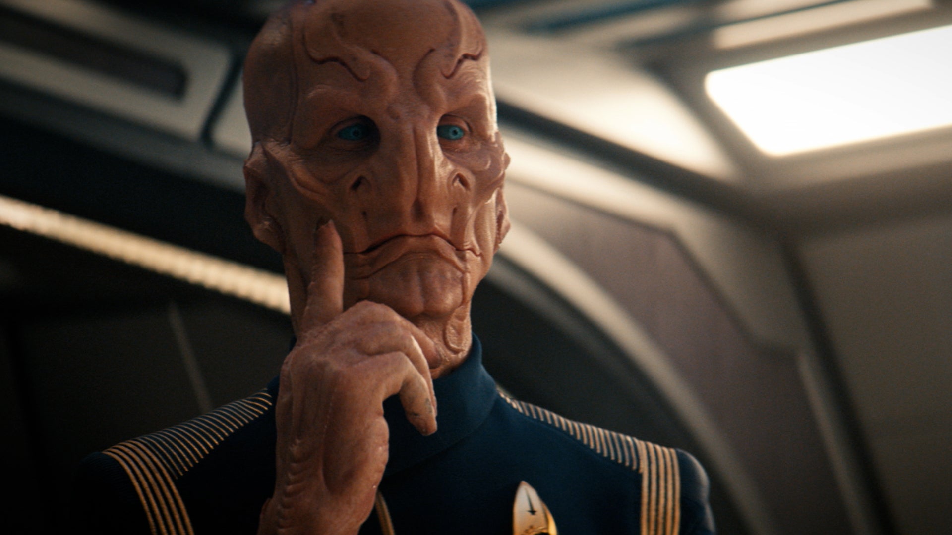 Saru talks to the computer