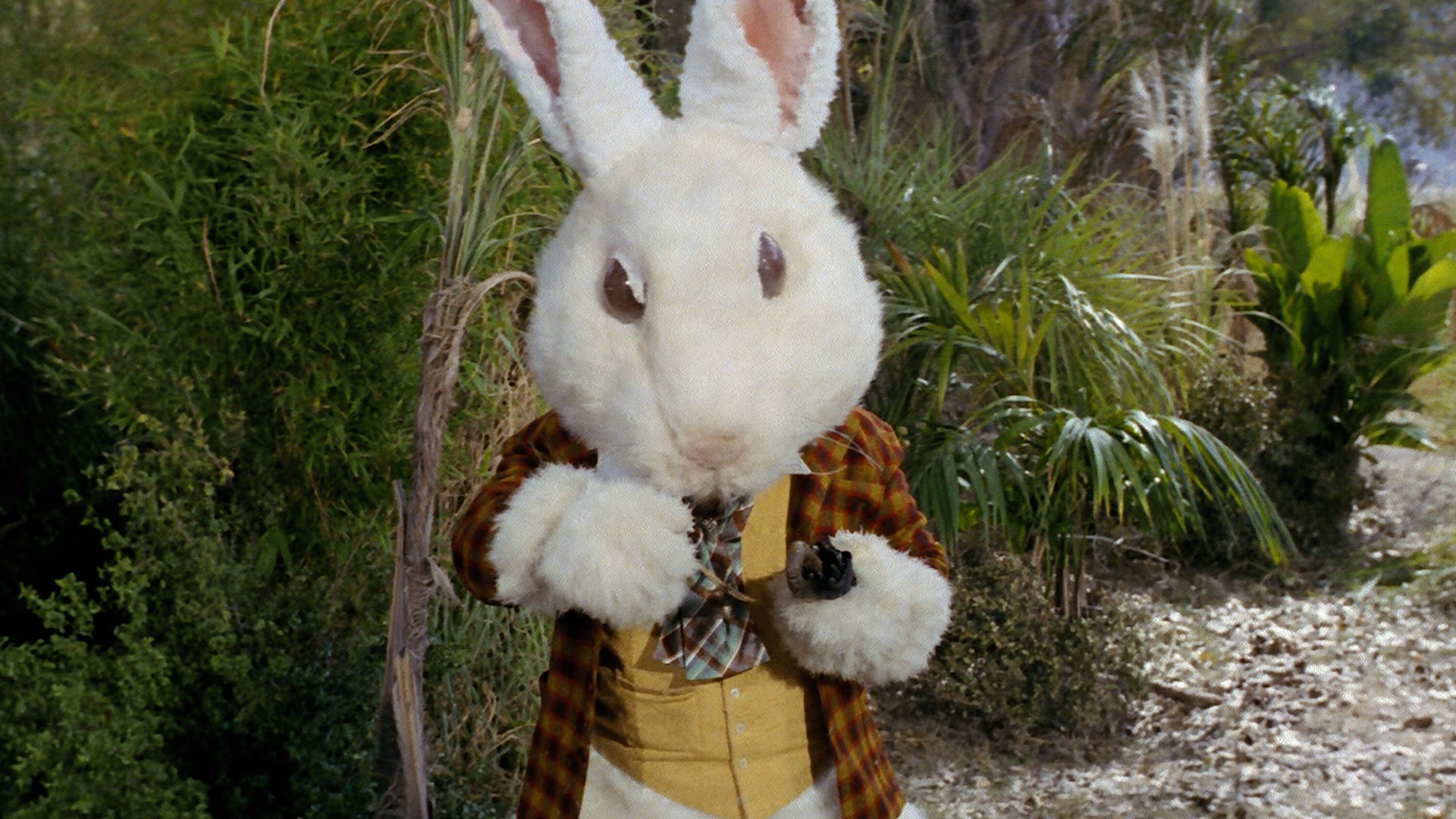 Star Trek hallucinations