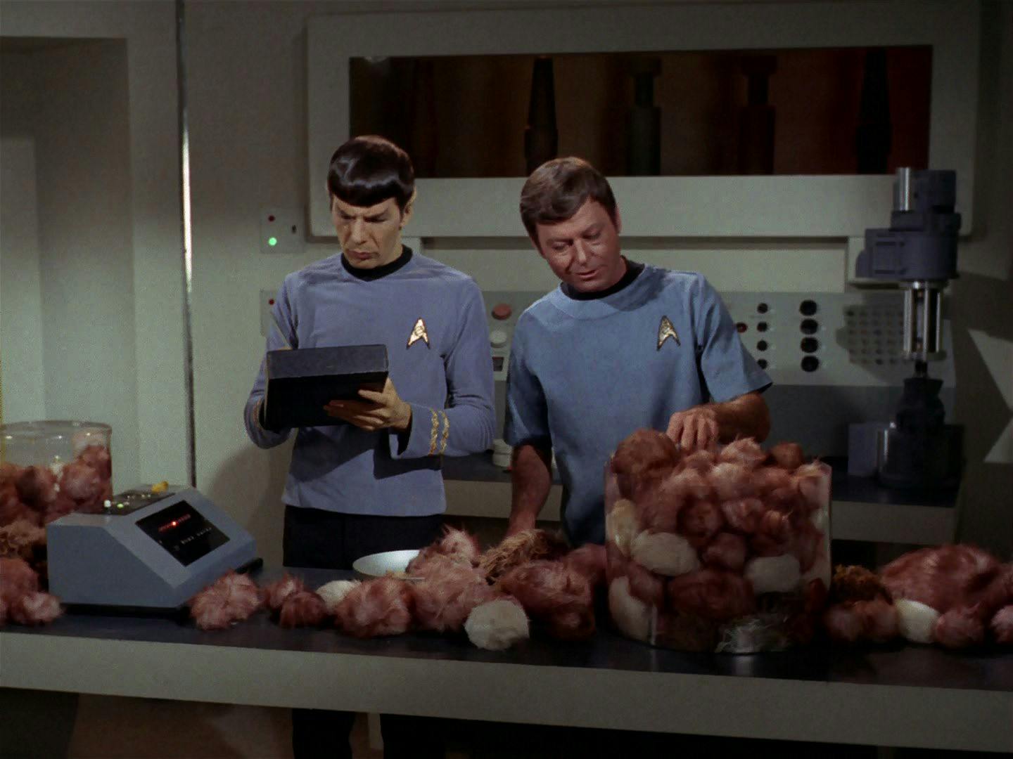 In the science lab, as Spock takes notes on his pad, McCoy looks over and hands the pile of Tribbles in front of them in 'The Trouble with Tribbles'