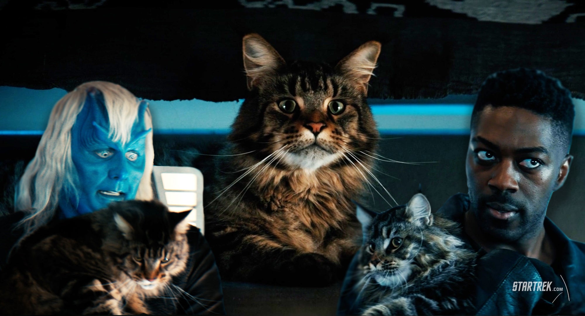 Star Trek: Discovery - "Scavengers"