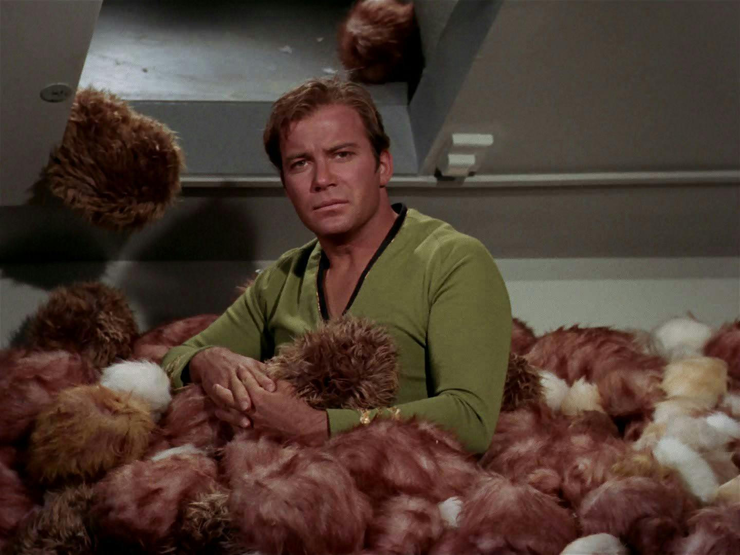 Captain Kirk (TOS) is in a pile of tribbles. He looks unhappy.
