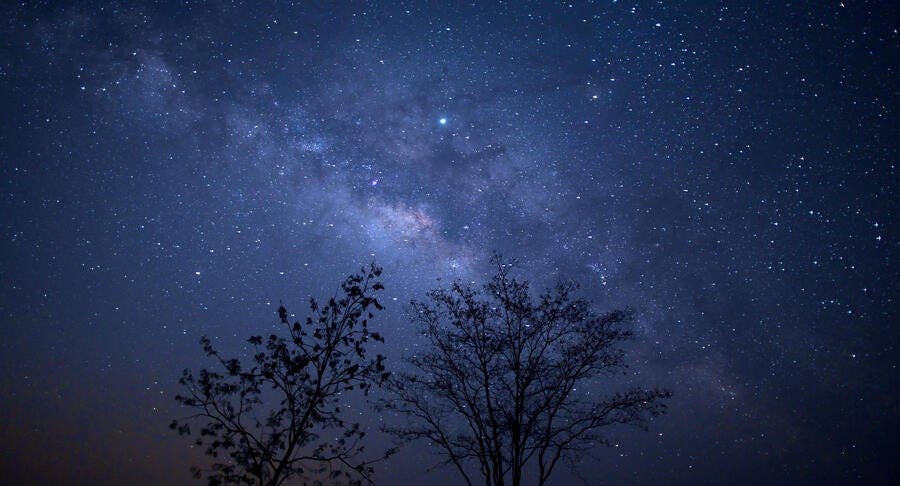 Looking up at the galaxy during a clear night sky