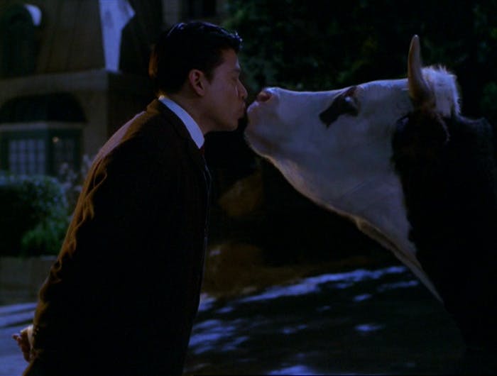 While enjoying a holo-date, Tom Paris tricks his pal Harry Kim into kissing a cow in place of his holo-companion in 'Spirit Folk'