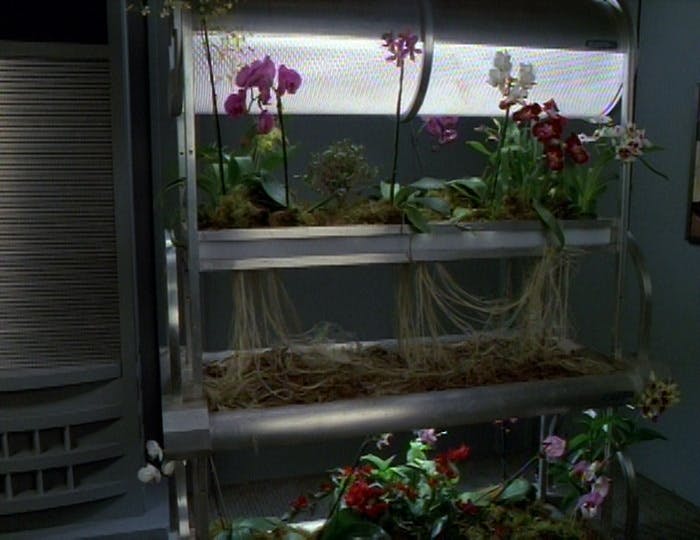 Cases of hybrid orchids nurtured by Lon Suder in 'Basics, Part II'