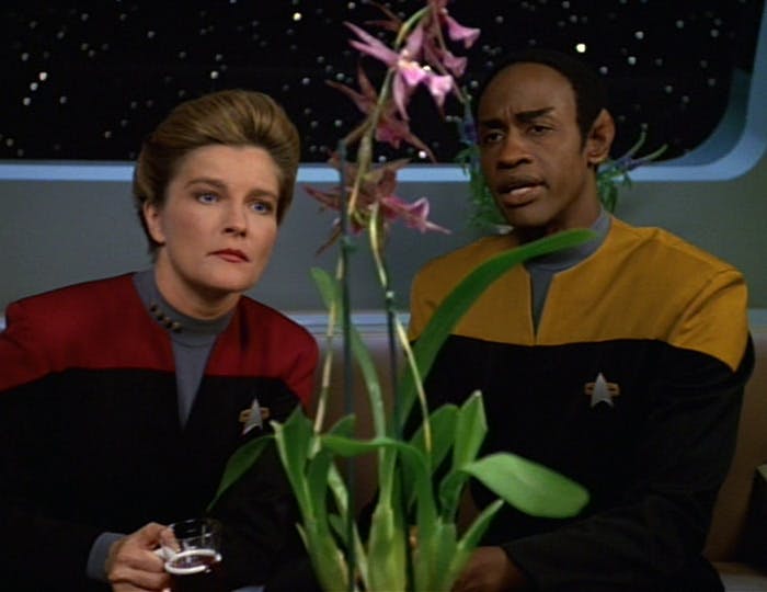 Tuvok uses his orchid, to Janeway, as a metaphor on working with the Kazons in 'Alliances'