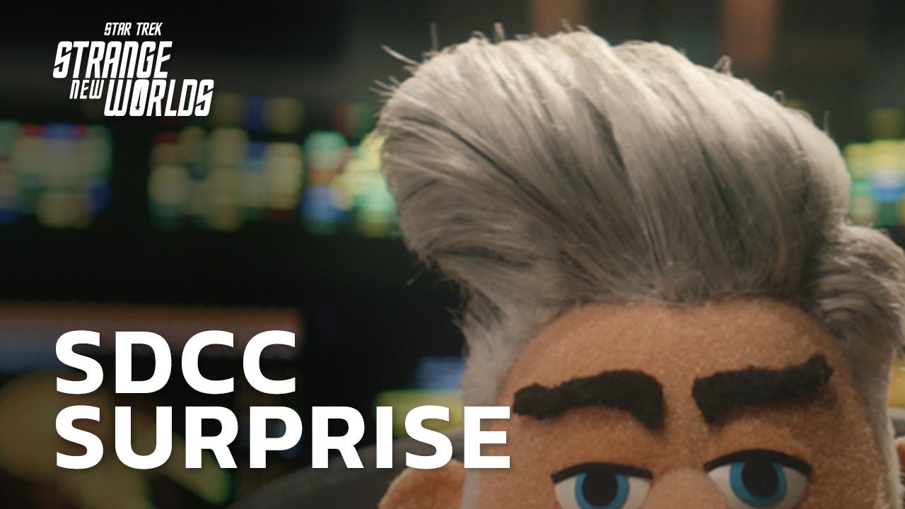Top of Puppet Captain Pike's head