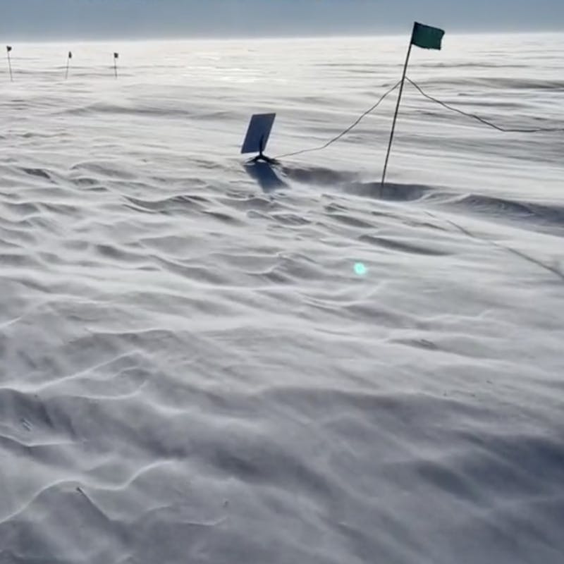 Starlink in snow