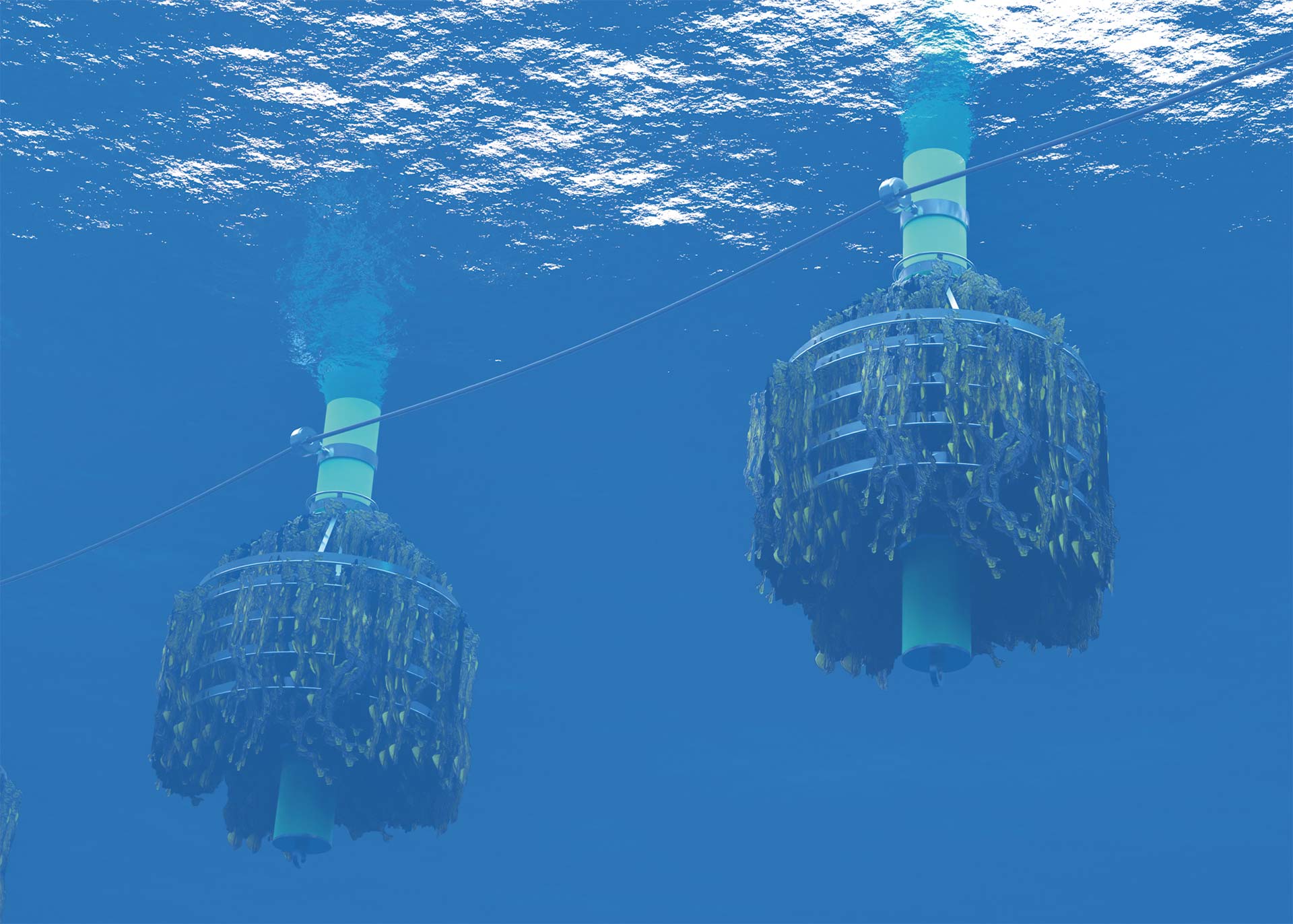 Startup Guide - Cerberus Seaweed Systems