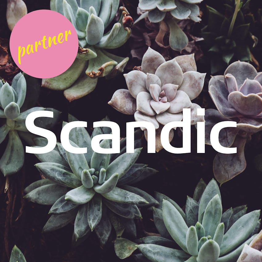 Scandics logotyp på blomstermönstrad bakgrund