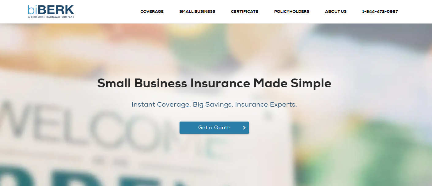 8 Best Ecommerce Business Insurance To Consider In 2024 | Statrys