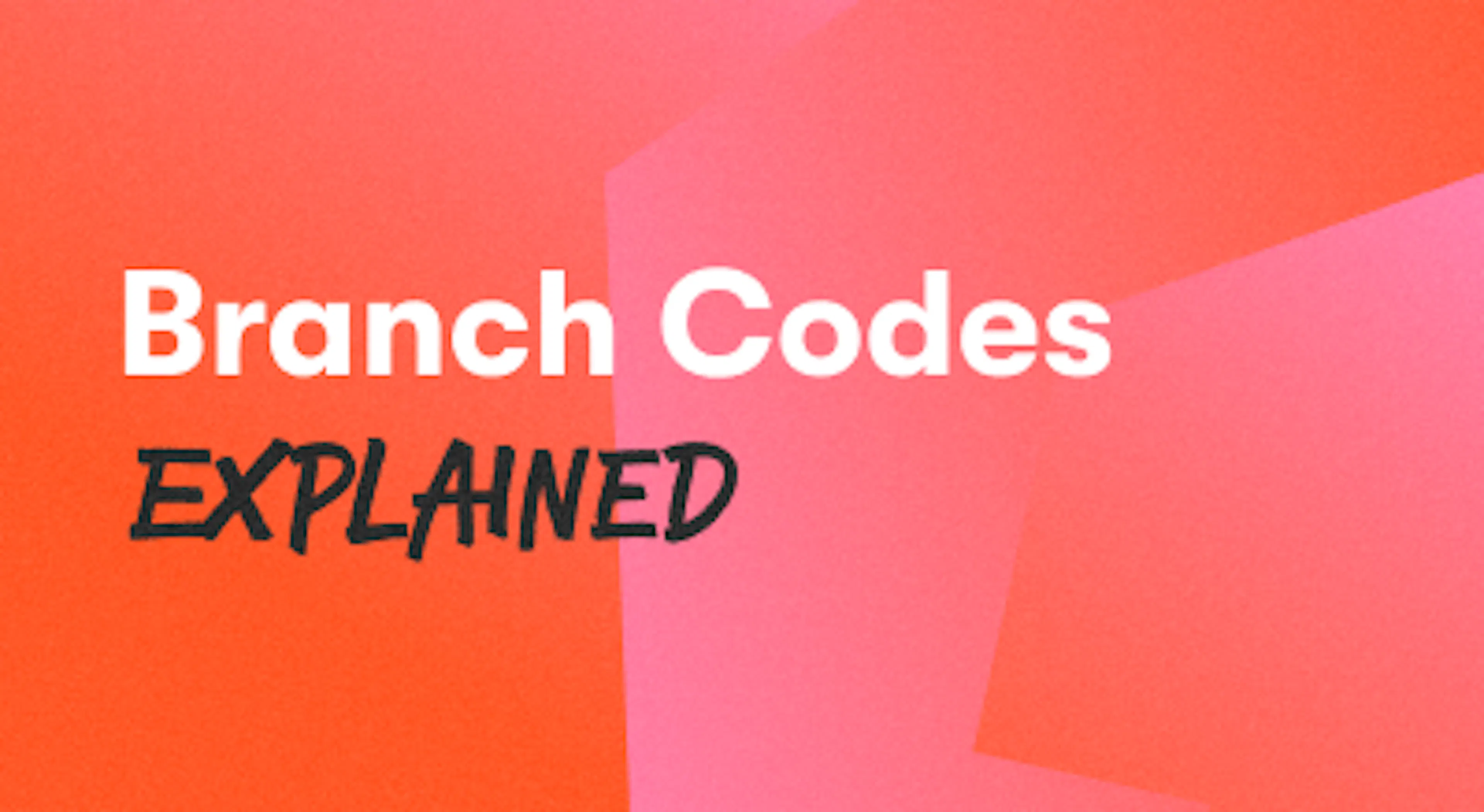 A background with a text titled "Branch Codes Explained"