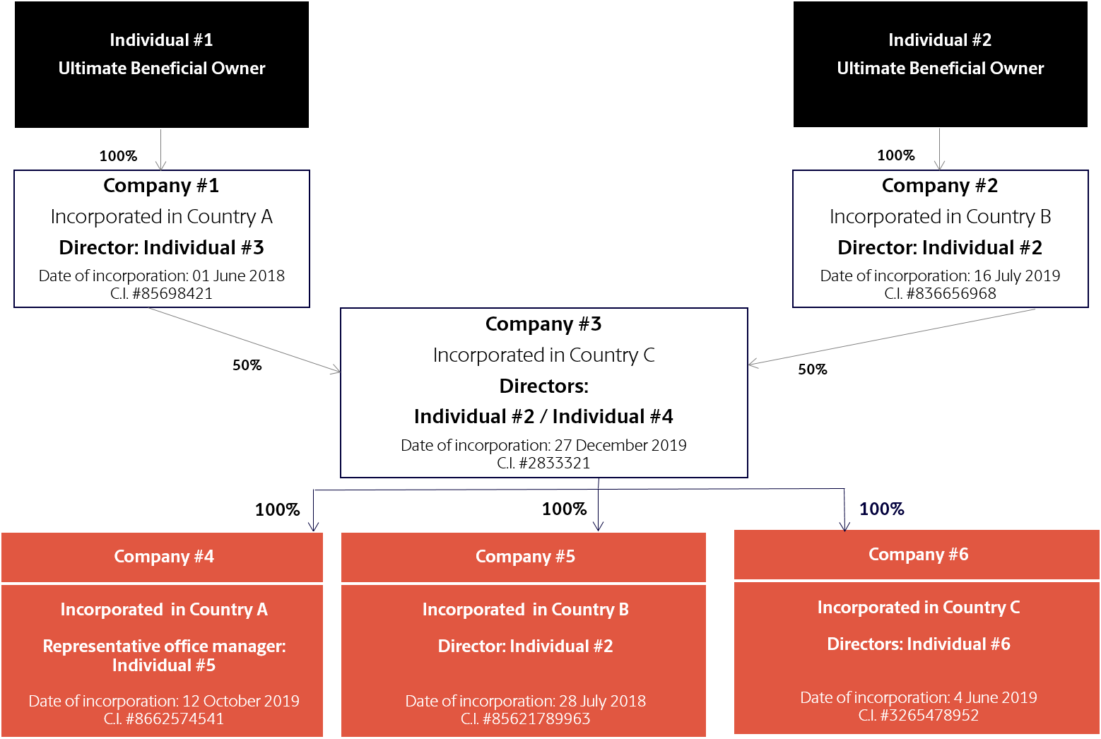 example Organizational Chart Statrys 