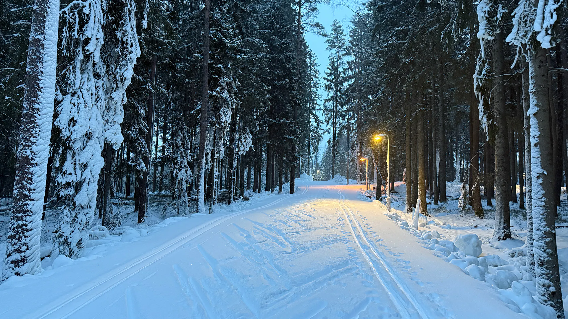 Skidspår i skogarna i Hindås
