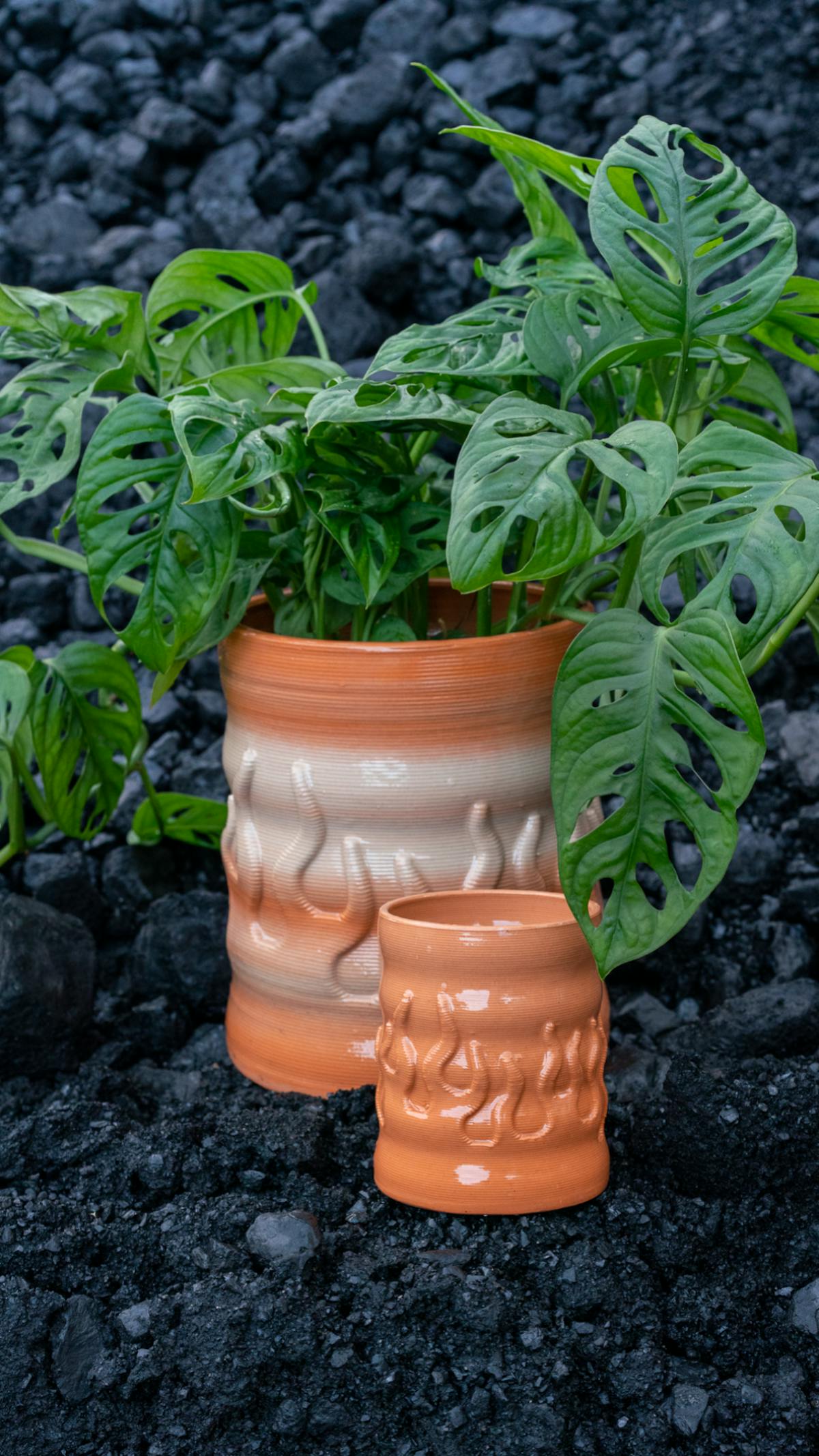 3d printed ceramic vase with indoor plant