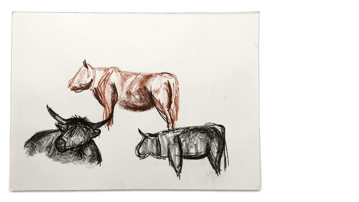 Drawings with pastel crayon of Swiss cows on paper