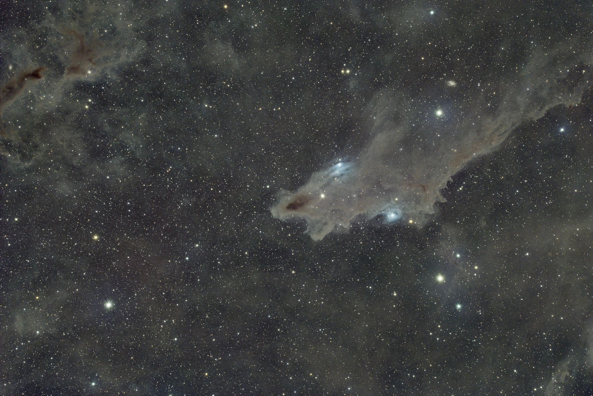 LDN 1235 — Nébuleuse du Requin