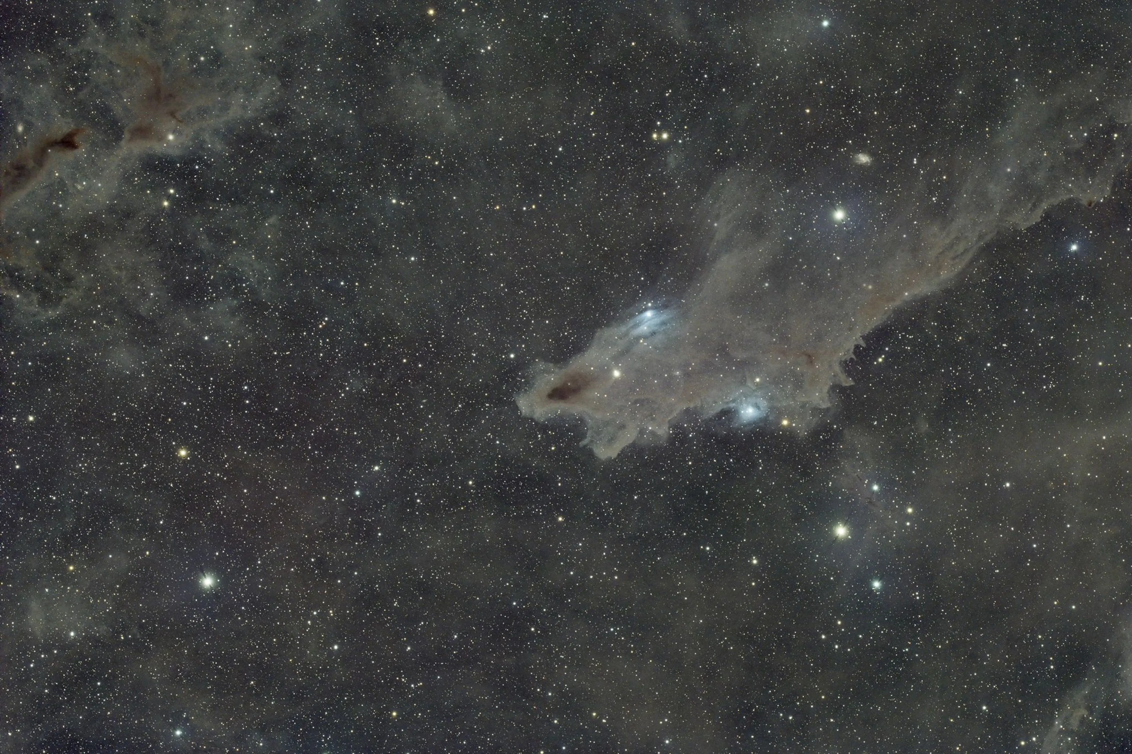 LDN 1235 – Nébuleuse du Requin