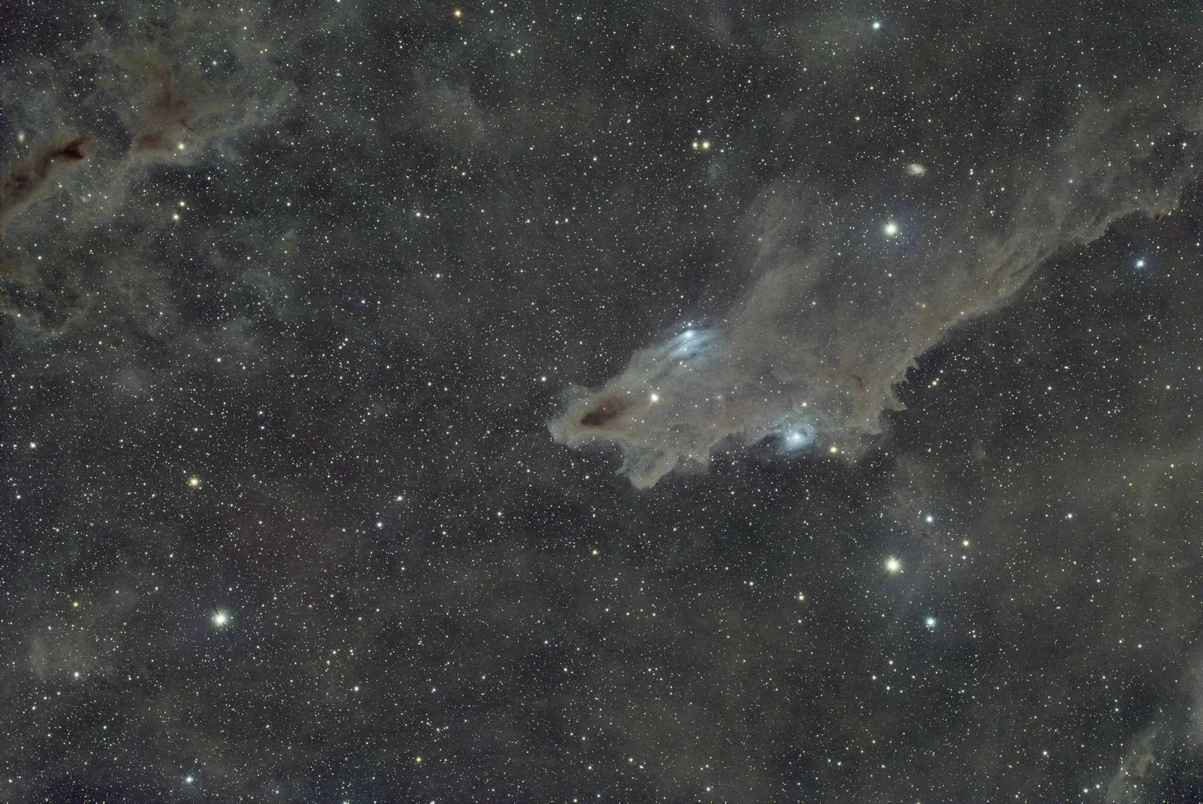 LDN 1235 – Nébuleuse du Requin