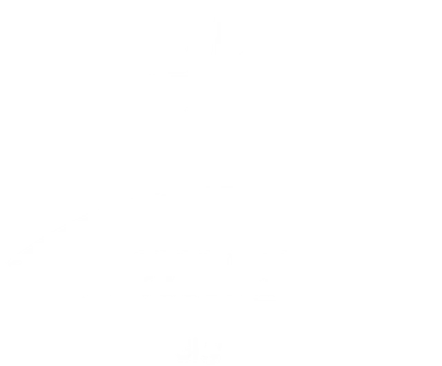 stellar observatory logo