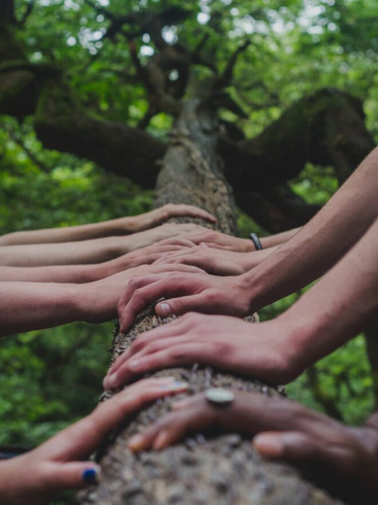Hands on a tree
