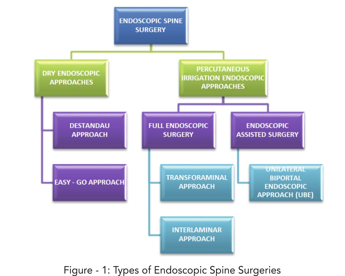 Welcome to the “Endoscopic Spine Surgery” Era