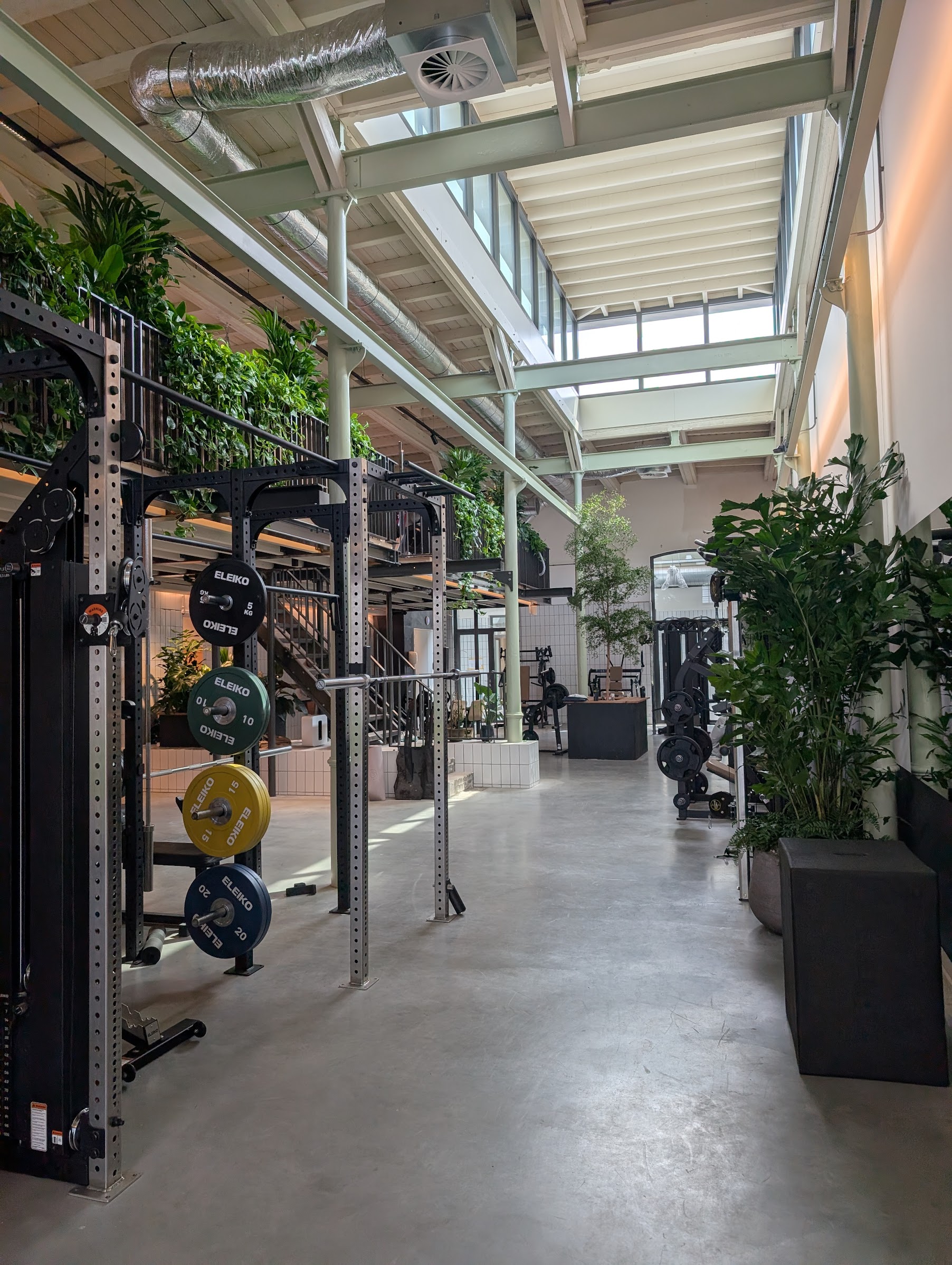 Lichte trainingshal van Fundamentals met krachtrekken, planten en hoog glasdak
