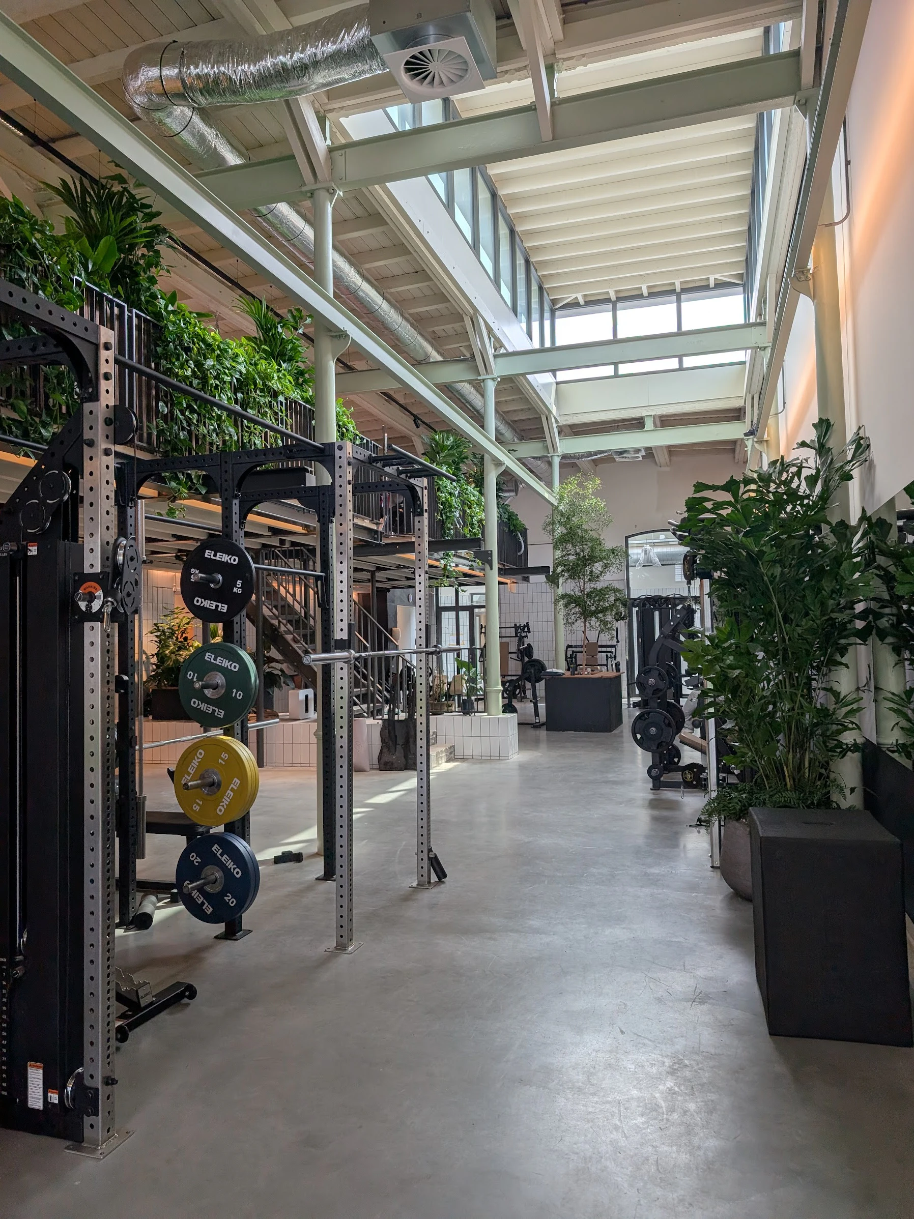 Lichte trainingshal van Fundamentals met krachtrekken, planten en hoog glasdak