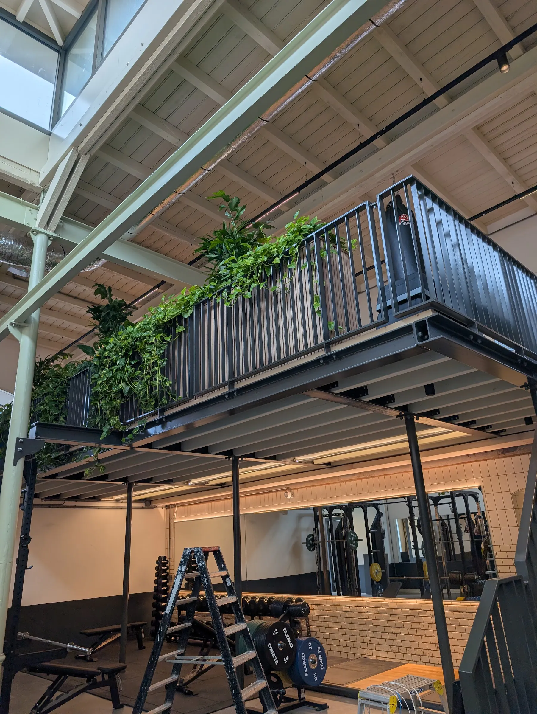 Stalen entresol met hangplanten boven de krachttrainingsruimte
