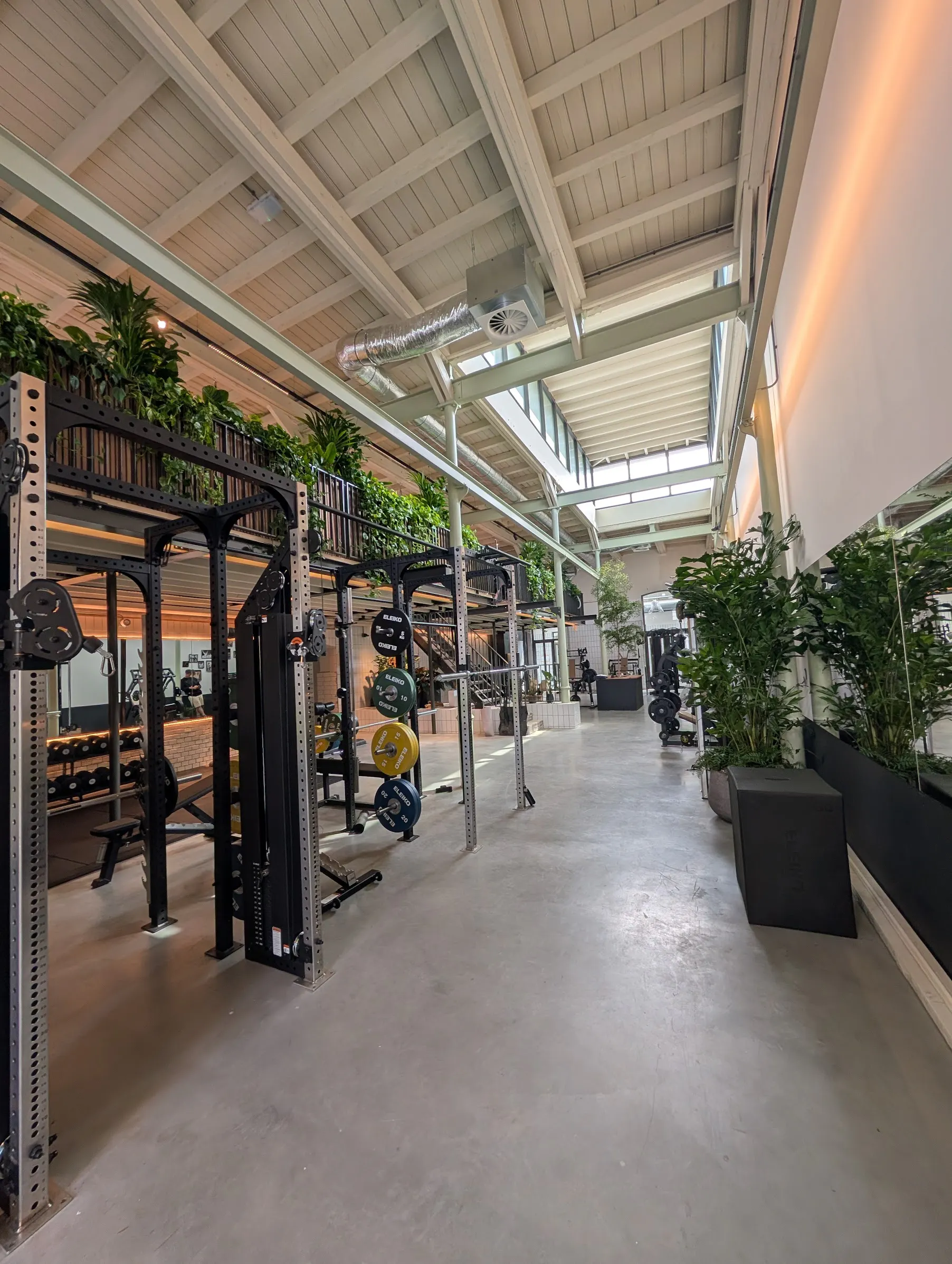 Lange trainingsruimte met krachtrekken, planten en veel daglicht