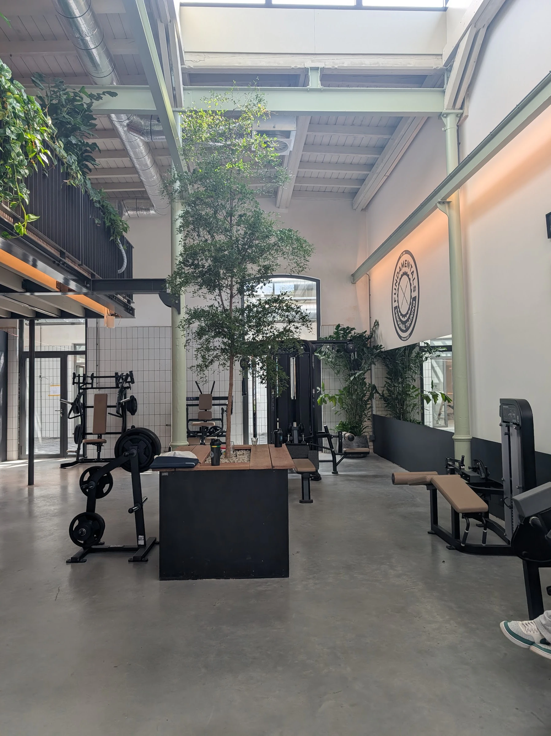 Open fitnessruimte met centrale boom en Fundamentals-logo aan de wand