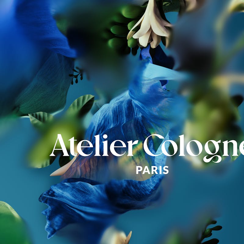 still shot for atelier colonne