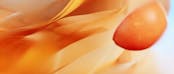 small banner of the Maison de parfum - Atelier Cologne project