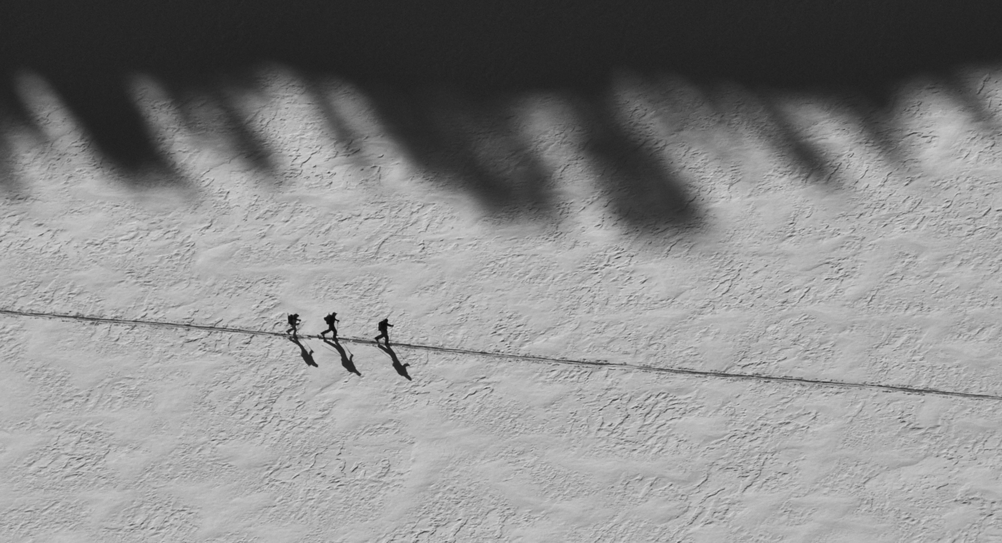  Photo by Ben Vandenbos 