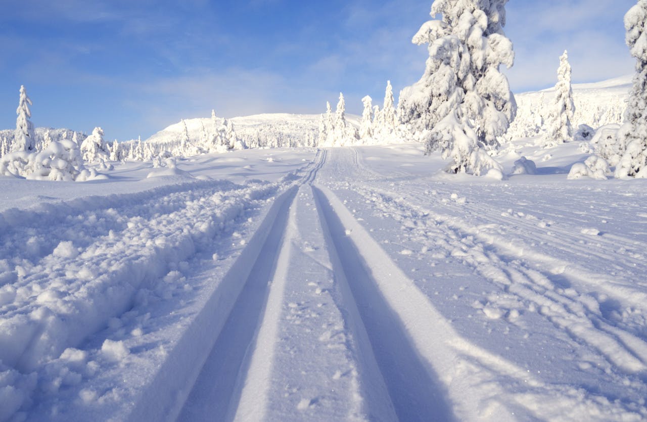 Norway dreamlike cross country ski trail