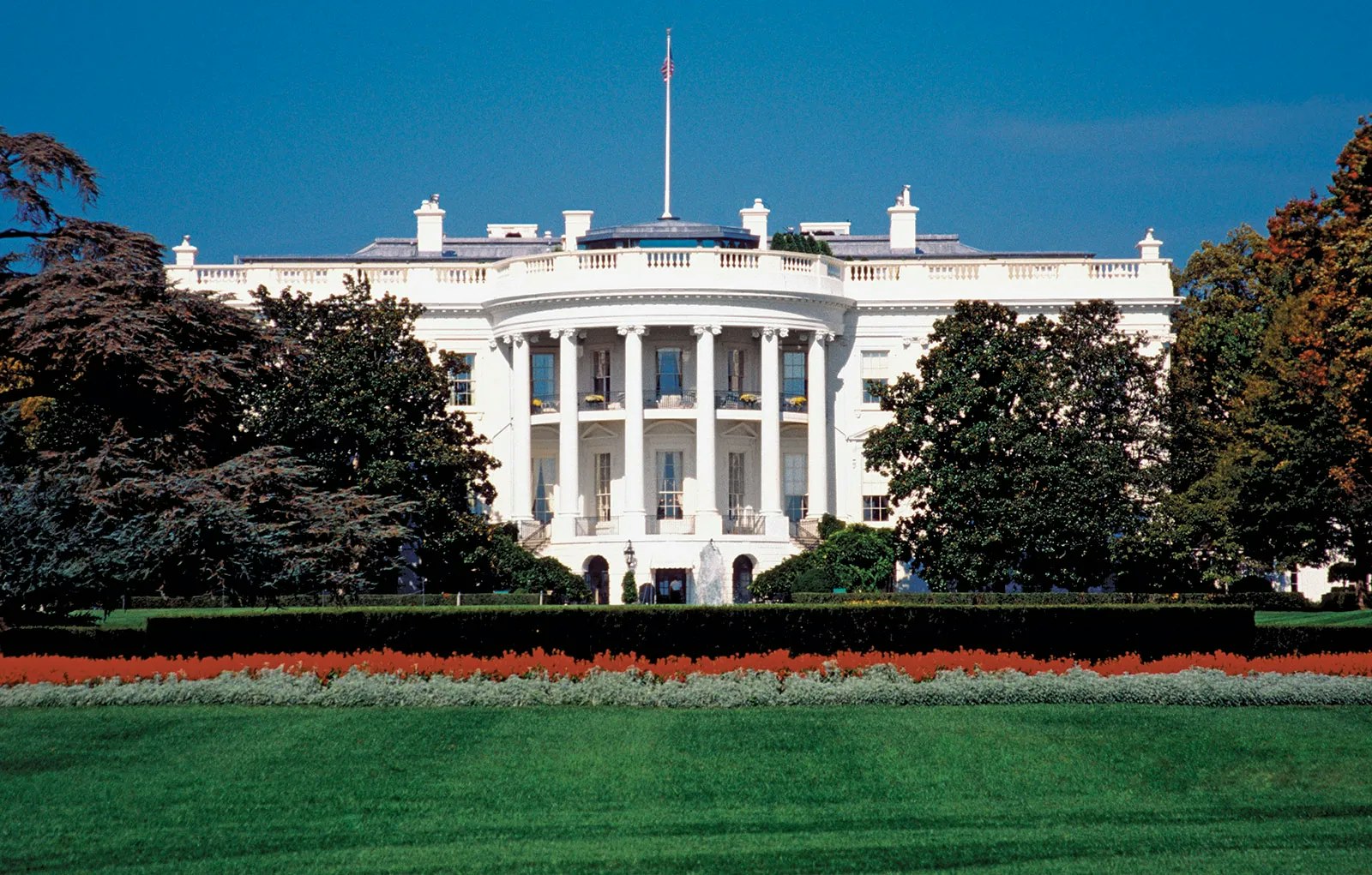 Should we require a cognitive fitness assessment for certain government leadership positions?