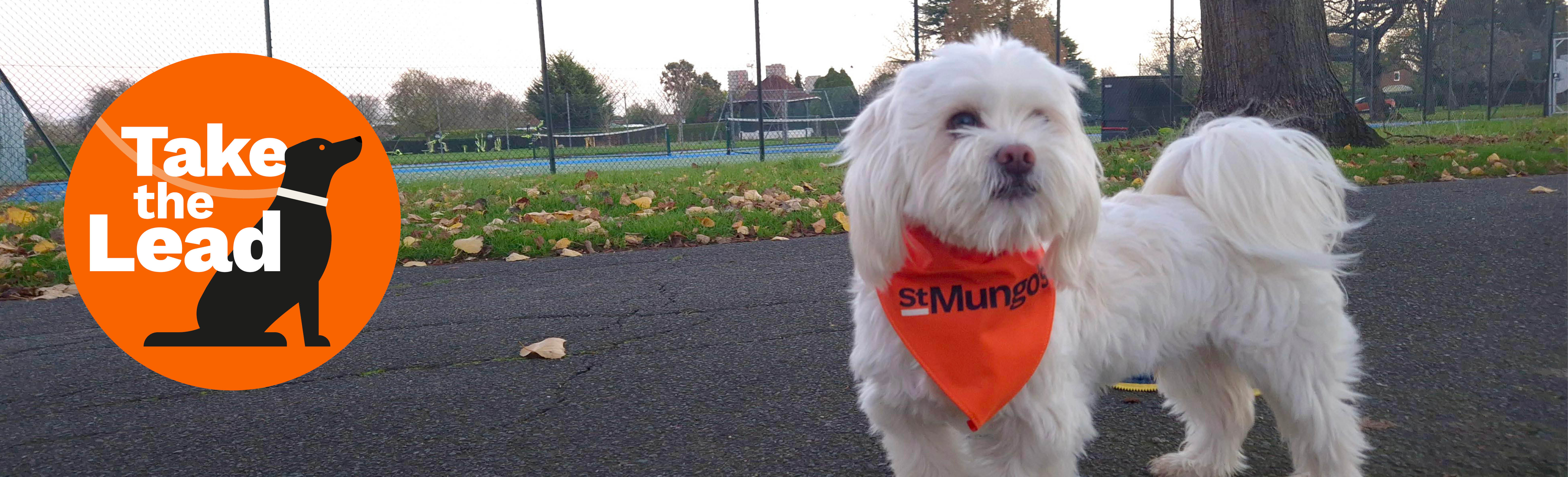 Small white dog wearing an orange ‘St Mungo’s’ bandana standing on a park path, with a ‘Take the Lead’ logo in the corner.