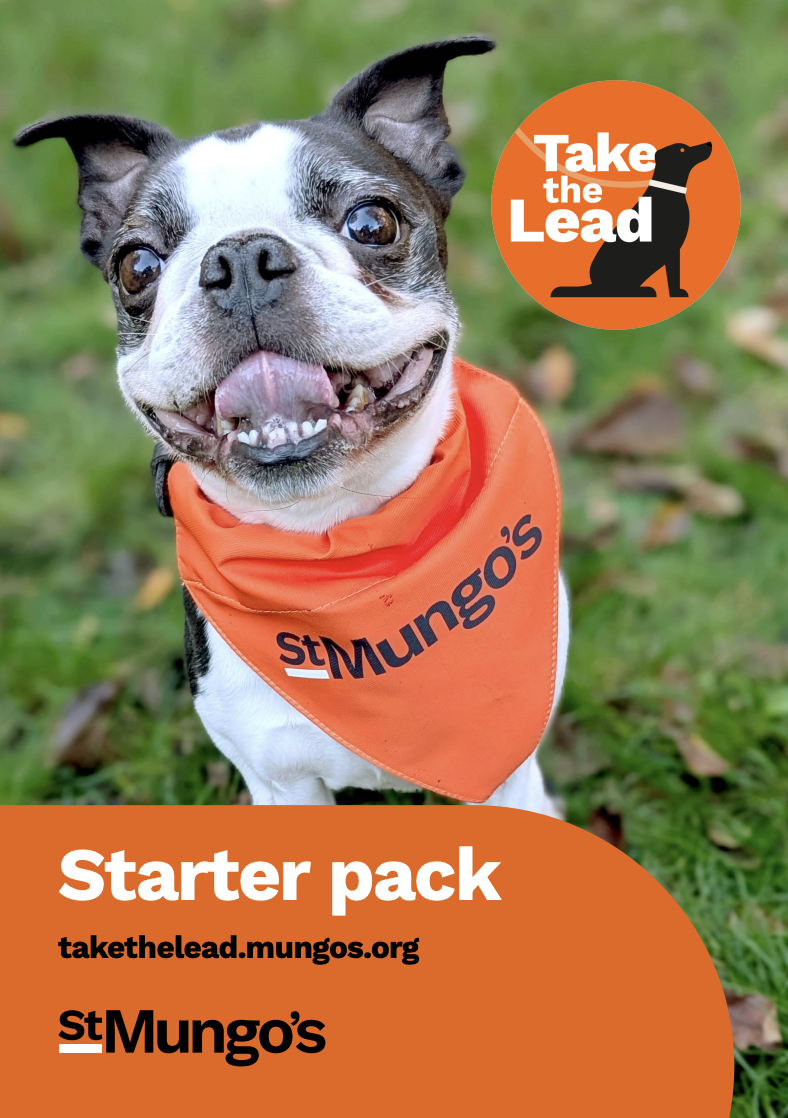 Start pack thumbnail