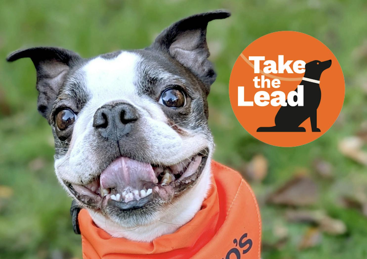 Start pack thumbnail