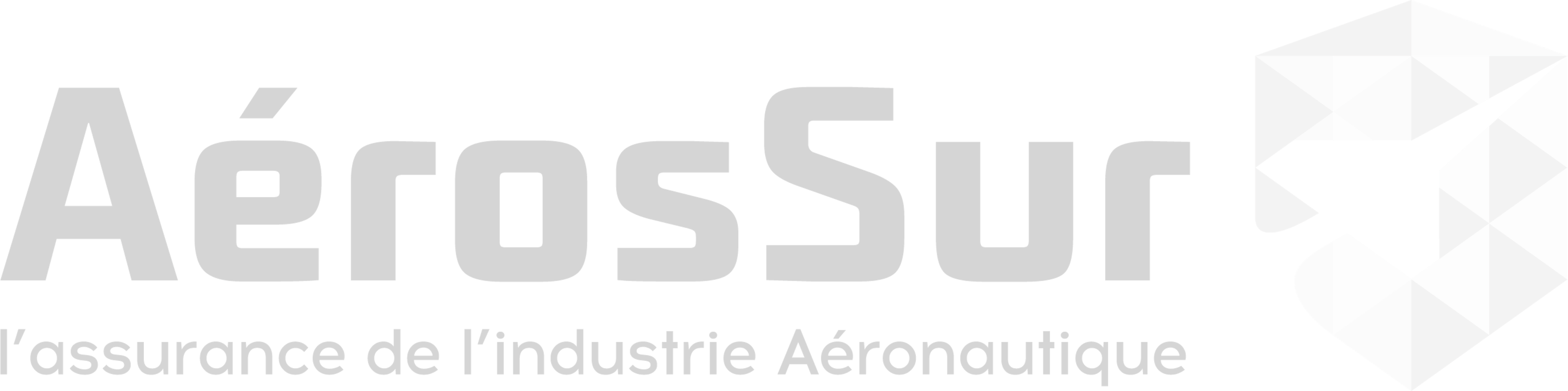 Aerossur Logo

