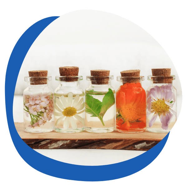 a row of small clear medicine bottles filled with beautiful medicinal flowers - round icon for herbal remedies treatment category from My Private Pharmacist Online pharmacy